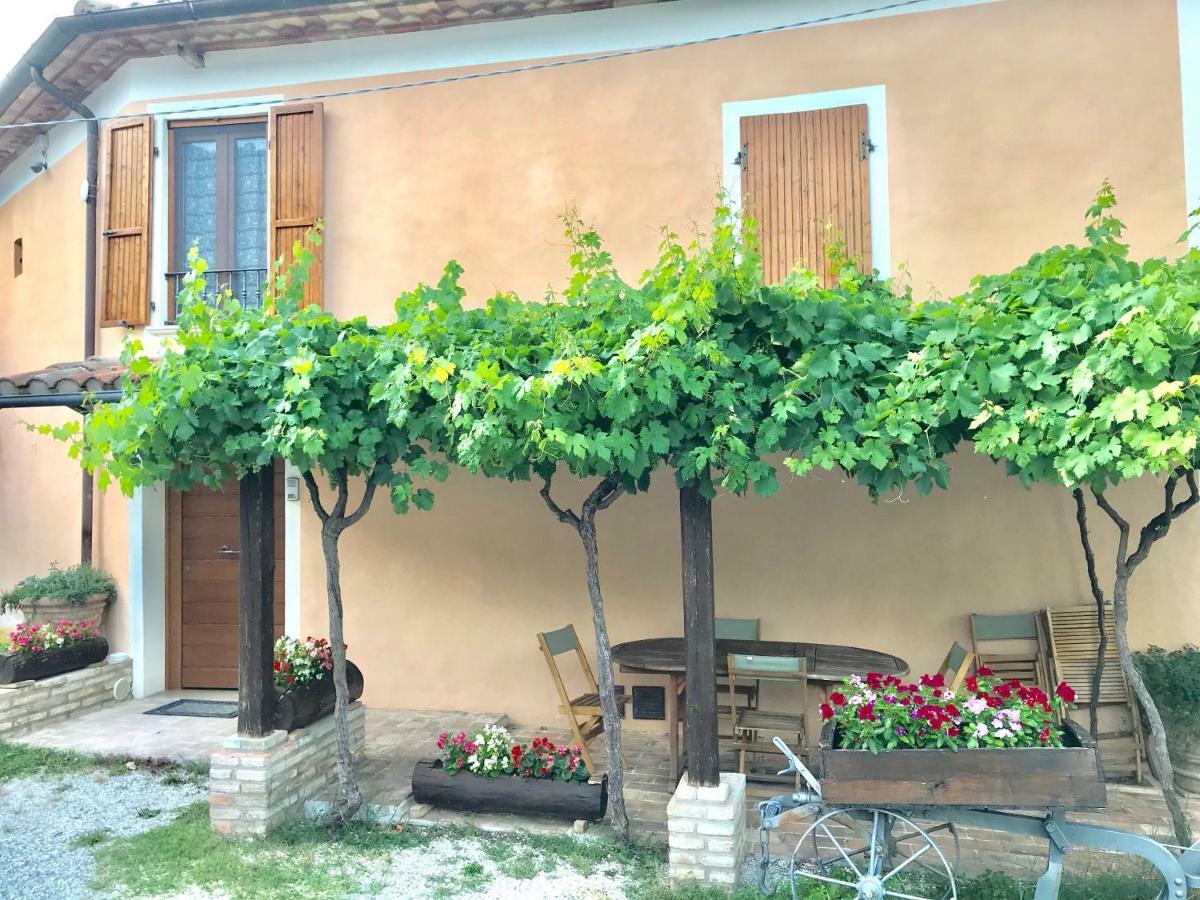 Villa Degli Orti Acqualagna Exterior foto